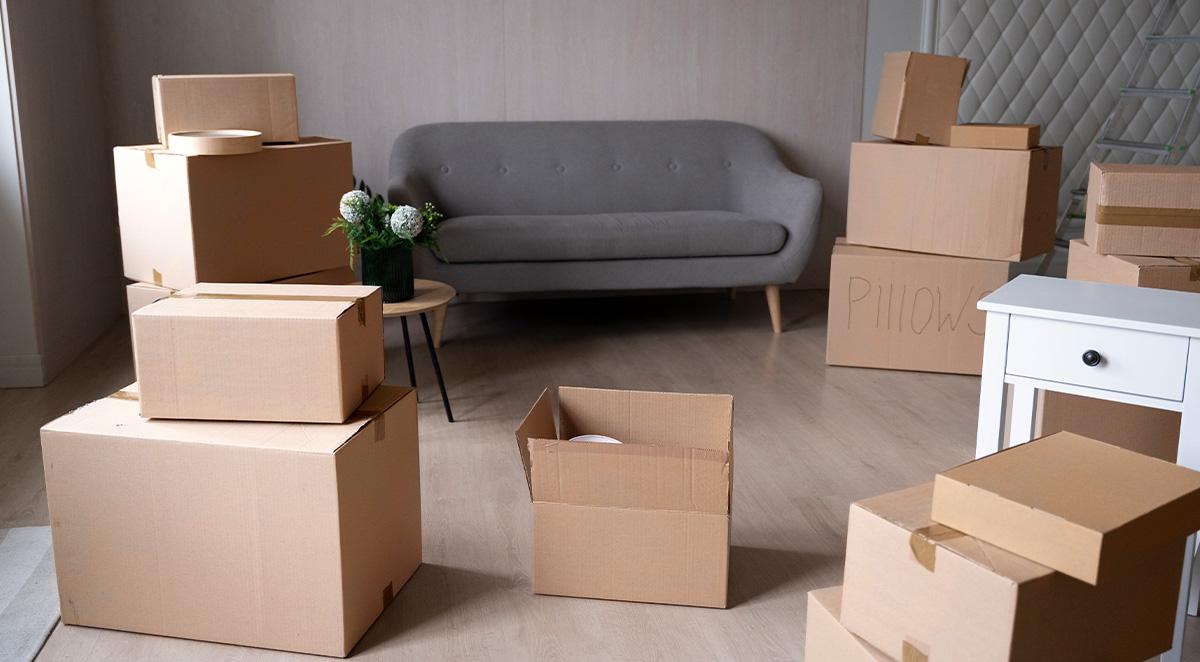 Best Professional Movers Near Me